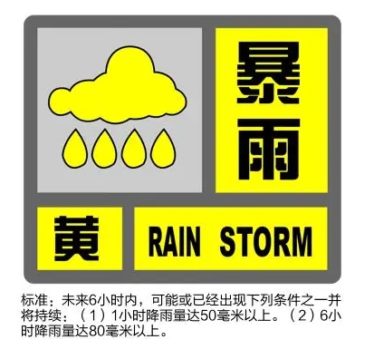 上海暴雨预警升级为黄色 启动防汛防台Ⅲ级响应行动-中新网