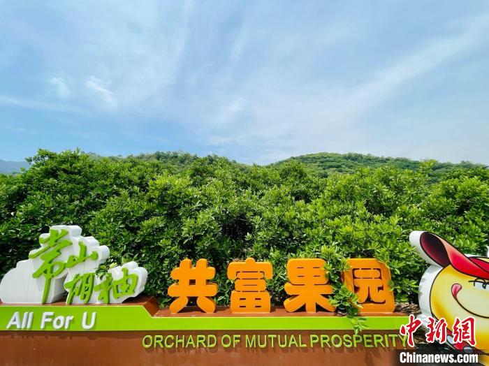 中国式现代化的“共富”底色何以描摹？-中新网