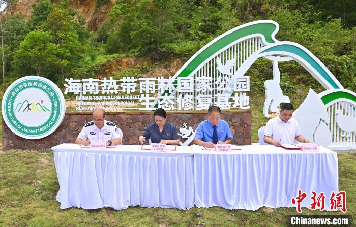 海南热带雨林国家公园生态修复基地设立-中新网