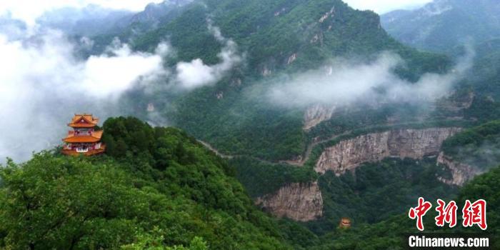 在太行太岳山麓“森”呼吸 山西晋中邀客体验“天然氧吧”-中新网