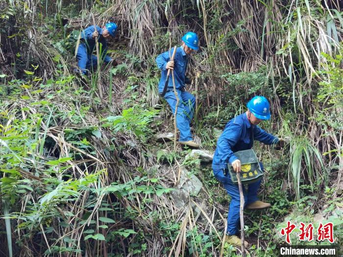 江西景德镇：大山深处巡线人 守护农家灯火-中新网