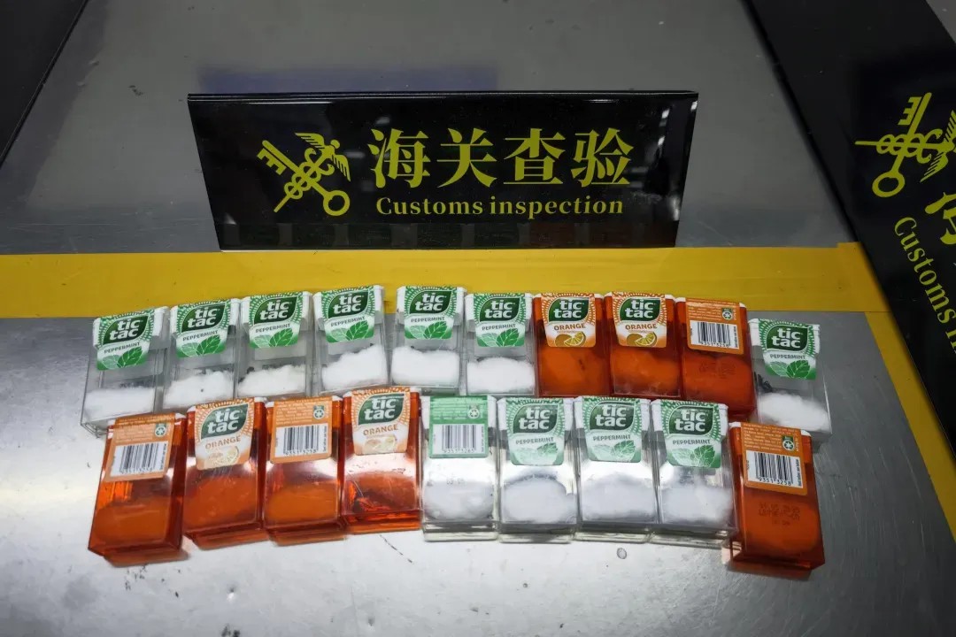 苏州海关查验进境邮件时发现20只活体蚂蚁-中新网