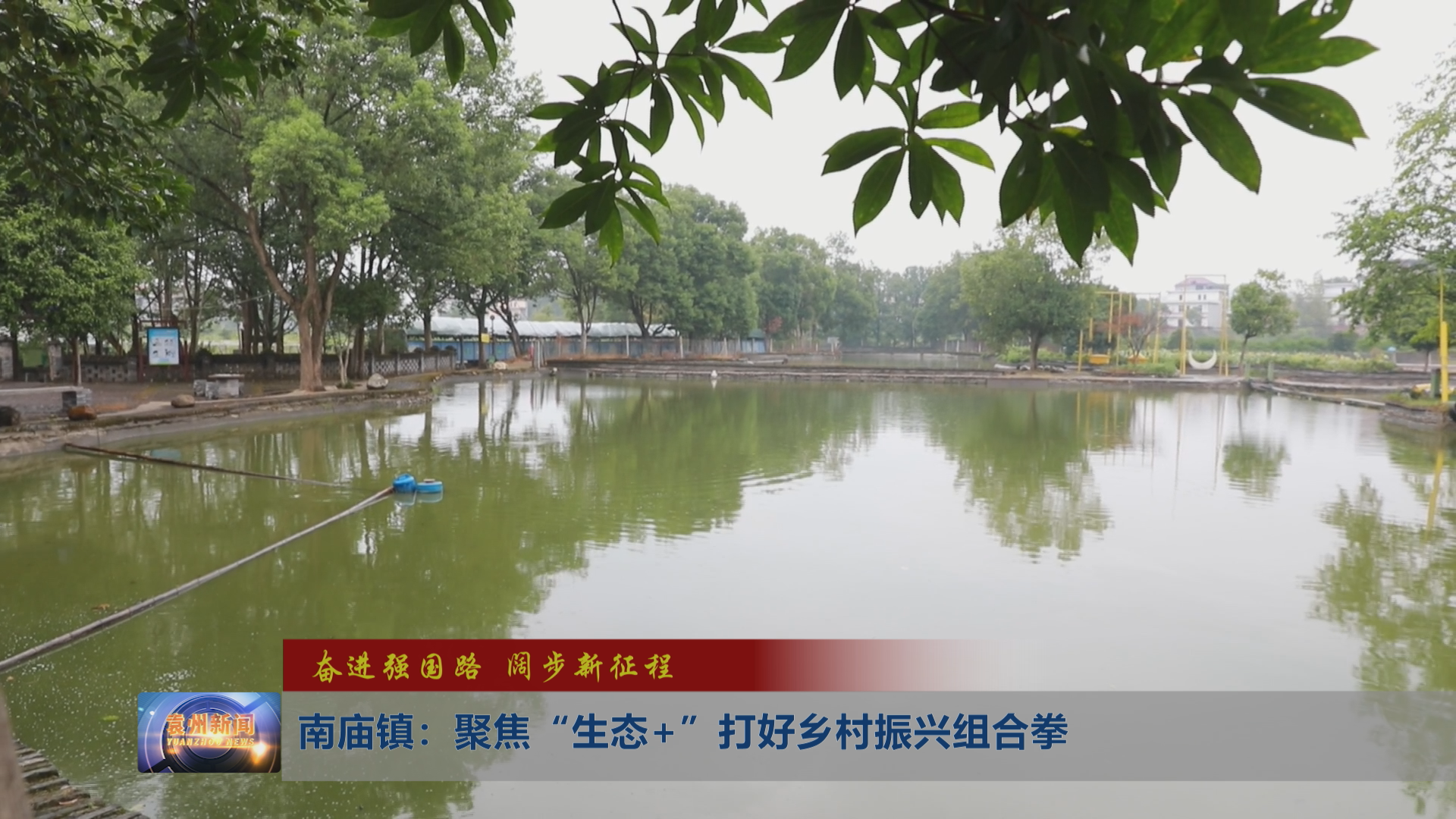 【奋进强国路  阔步新征程】南庙镇：聚焦“生态+” 打好乡村振兴组合拳