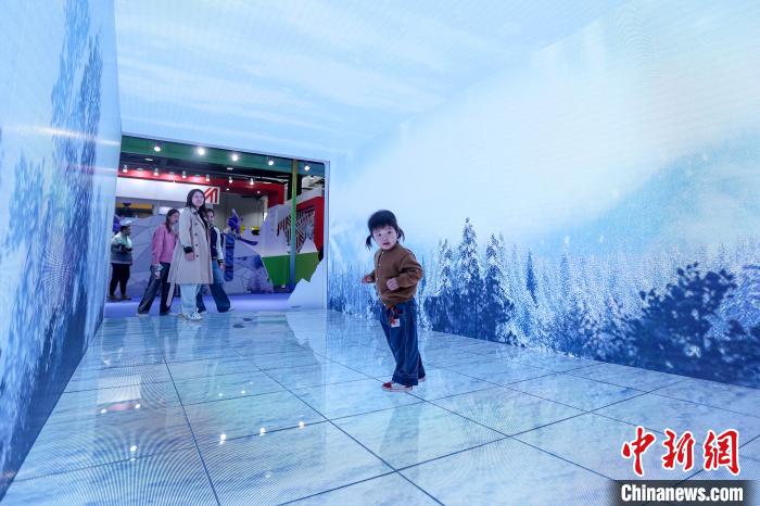 中外嘉宾北京共论冰雪经济如何“四季升温”-中新网