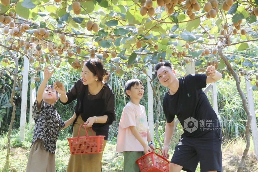 南庙镇：发展特色产业 带动农民增收