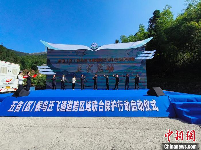 中国五省（区）协同守护候鸟迁飞通道-中新网