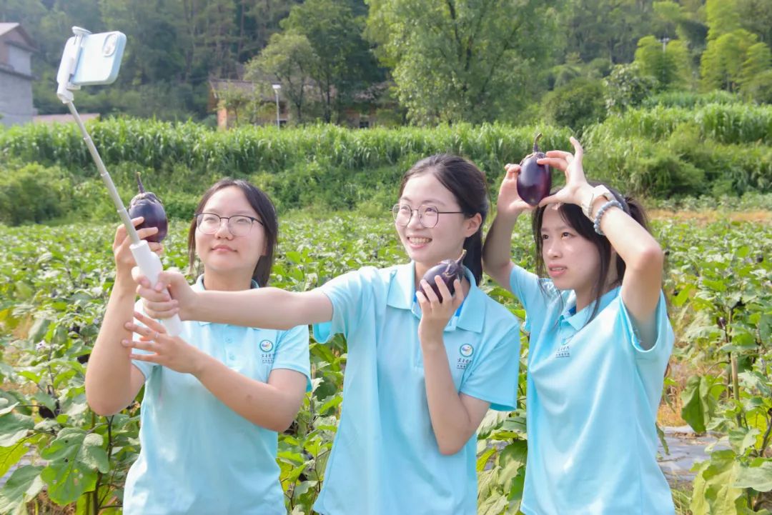 乡村振兴 | 金瑞镇：家门口种草 当上“月薪族”
