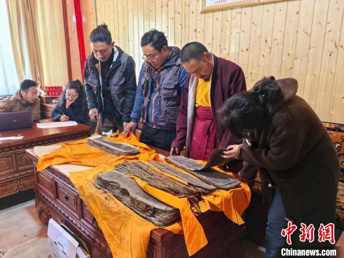 西藏自治区第四次全国文物普查 日喀则、林芝文物普查取得新成果-中新网