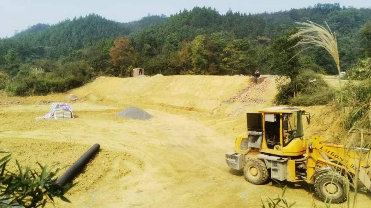 彬江镇：推进移民项目建设  夯实乡村振兴基石