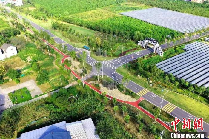 （身边的变化）浙江阡陌村路变通途-中新网