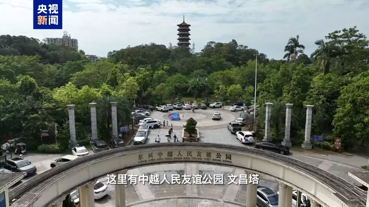 跟总台记者打卡中越边境 东盟商品买买买-中新网