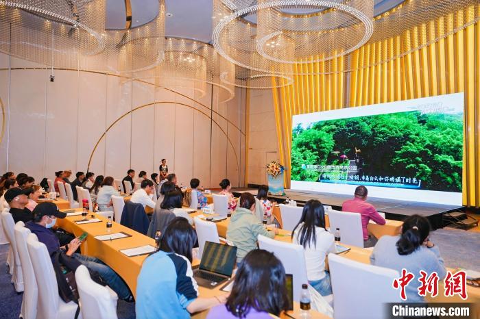 海南邀云南游客深度体验八种海岛游玩法-中新网