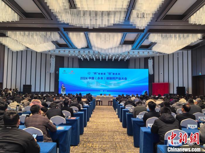 2024中国（永丰）碳酸钙产业大会举行 共探产业发展前景-中新网