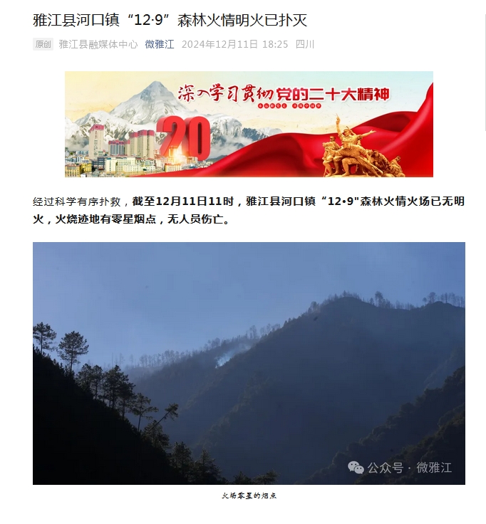 四川雅江“12·9”森林火情明火已扑灭 无人员伤亡-中新网