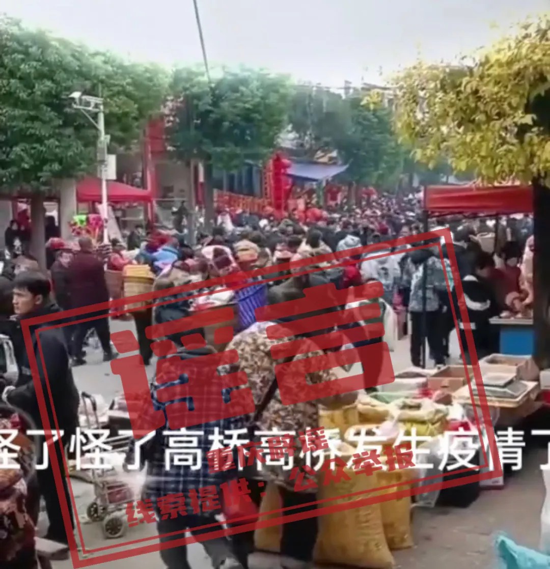 编造“开州高桥镇又发生疫情”，重庆一网民被行政处罚-中新网