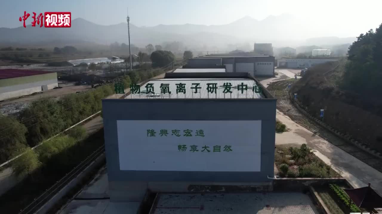 小松针引领康养产业发展新路
