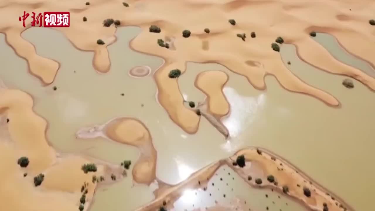 撒哈拉沙漠发洪水？已有三五十年未见