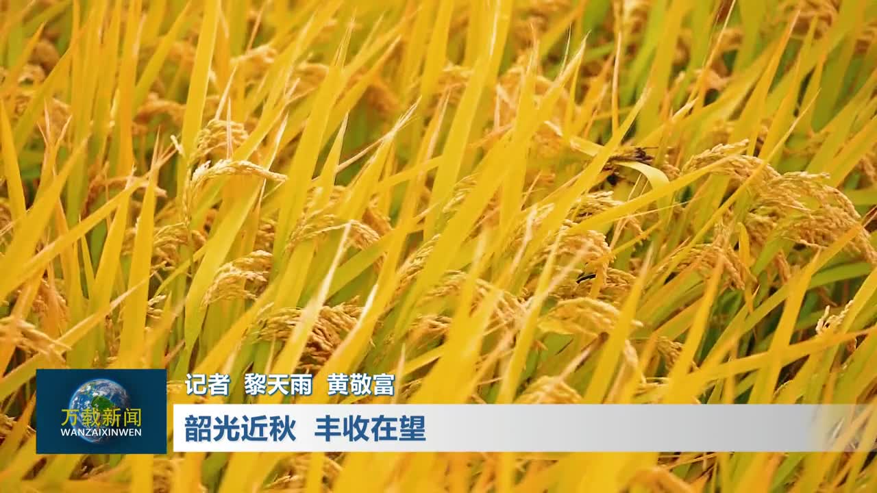 韶光近秋 丰收在望