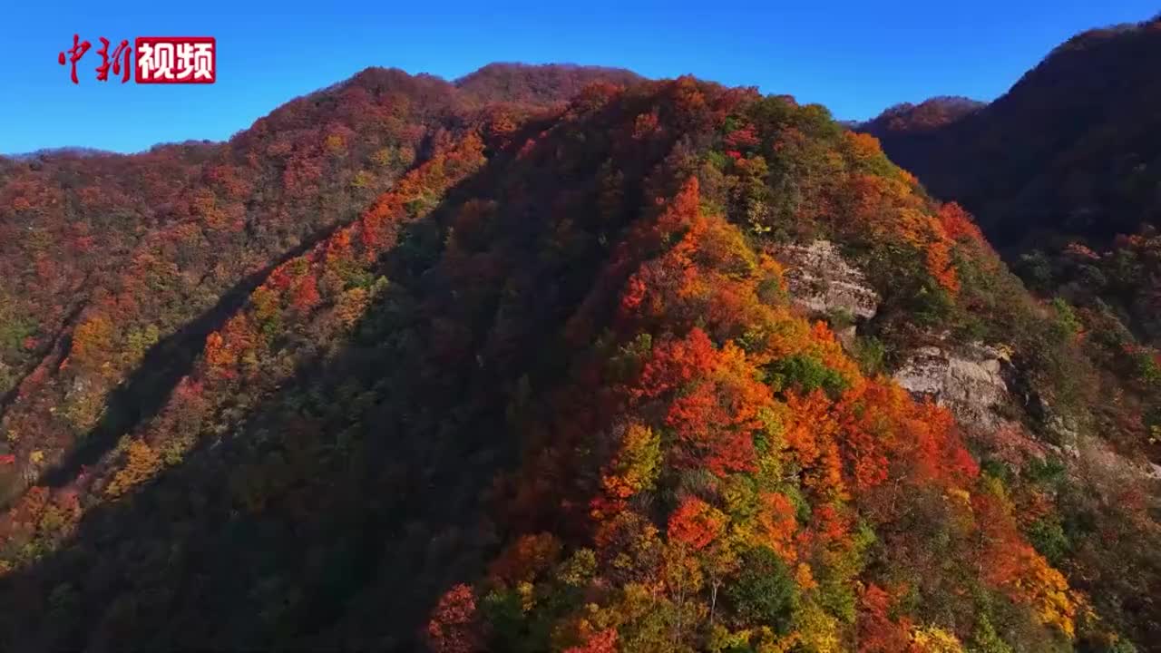 湖北五峰后河自然保护区现“限定版”风景