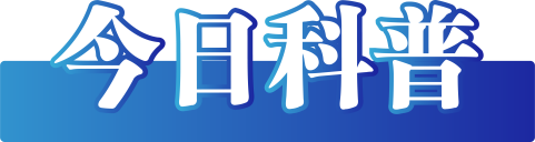 今日辟谣（2024年12月3日）