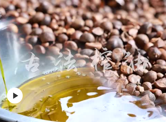文化中国行 | 铜鼓：千年技艺 古法榨油