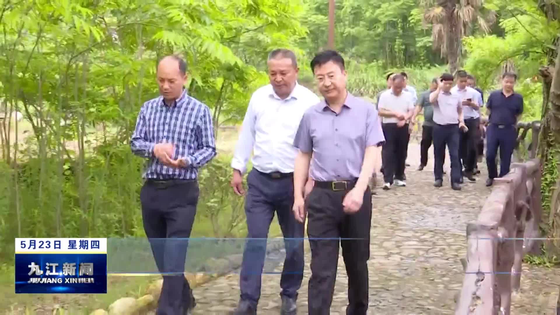 市领导到柴桑区开展巡林工作