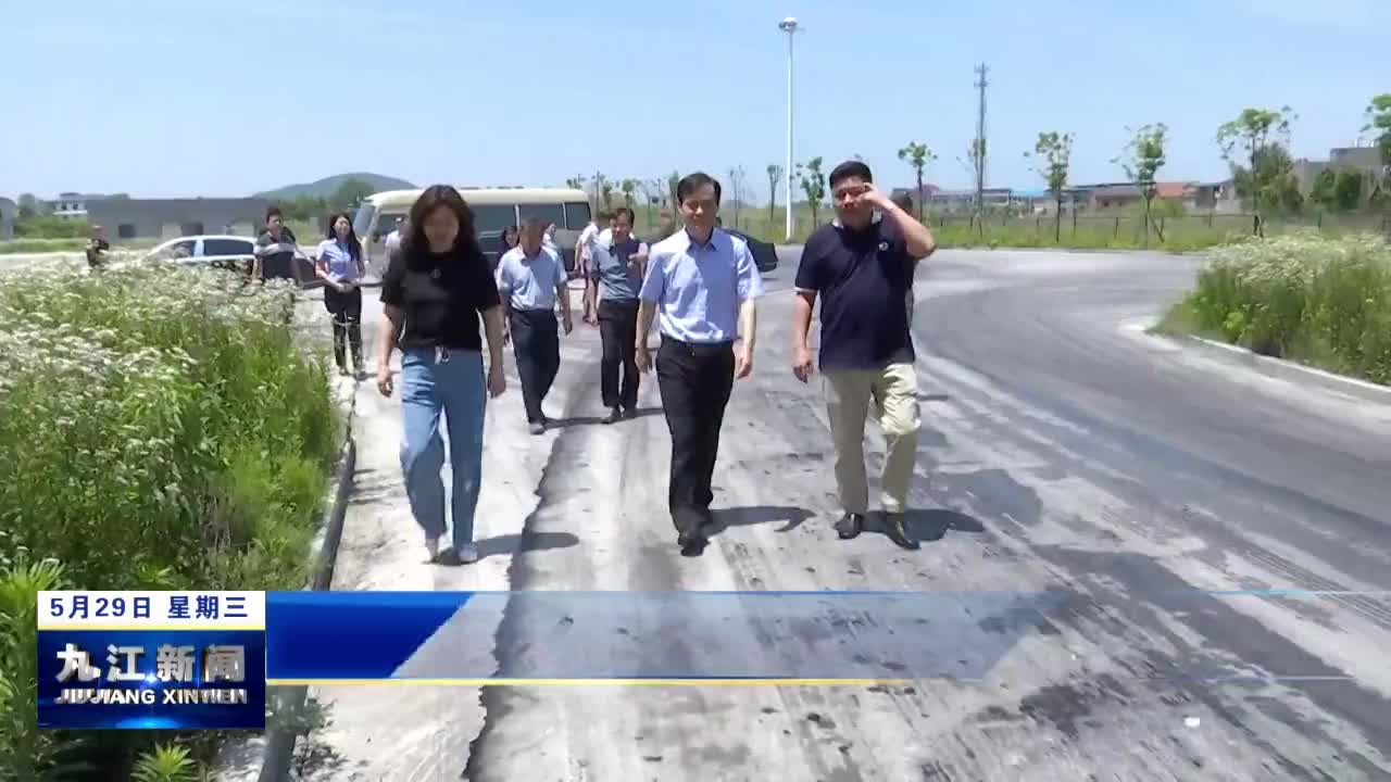 市领导到柴桑区开展区域航运中心建设专题调研