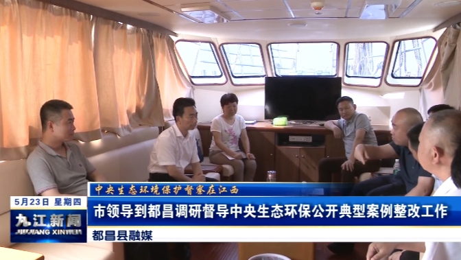 市领导到都昌调研督导中央生态环保公开典型案例整改工作