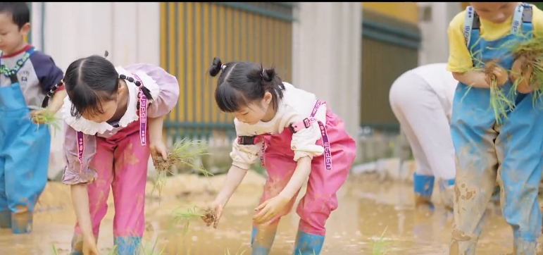 修水县良塘中心幼儿园《娃娃趣耕种》