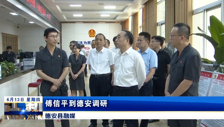 傅信平到德安调研