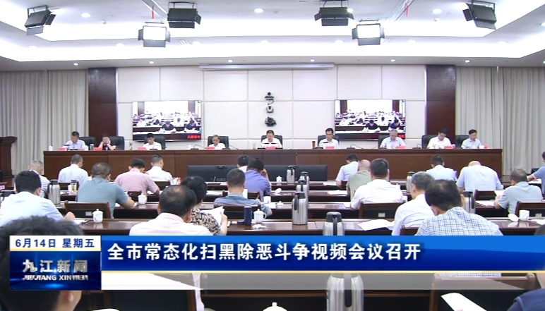 全市常态化扫黑除恶斗争视频会议召开，严盛平出席会议并讲话