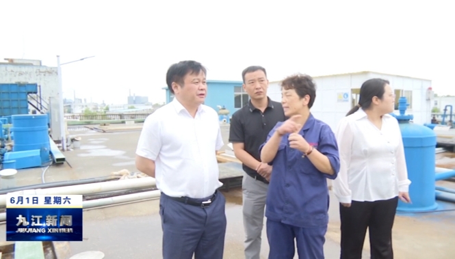 市领导到彭泽调研督导中央生态环境保护督察反馈重点信访件办理及生态环境保护问题整改工作