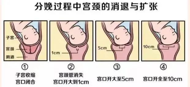 @孕晚期宝妈们，这份快速“开指”诀窍，赶紧收藏好！
