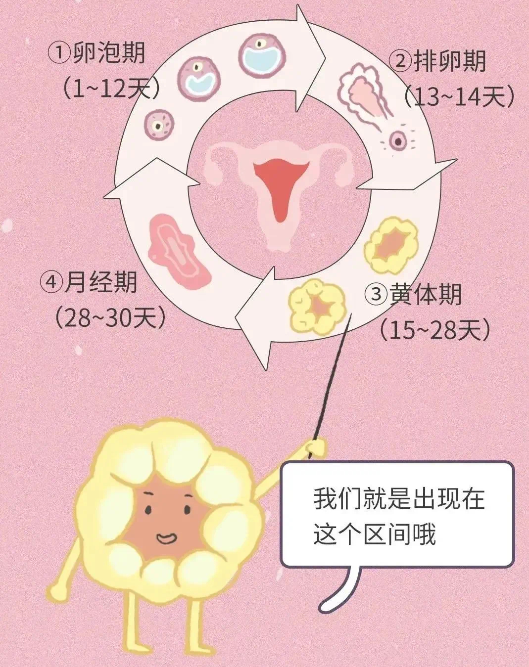 九江市妇幼保健院科普：试管胚胎移植成功后，为什么还要黄体支持？