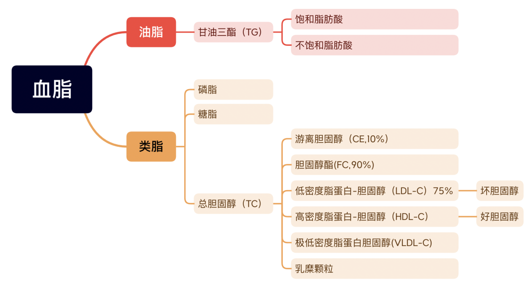 九江学院附属医院科普：揭秘血脂“高家四兄弟”，守护心血管健康的秘密武器是......