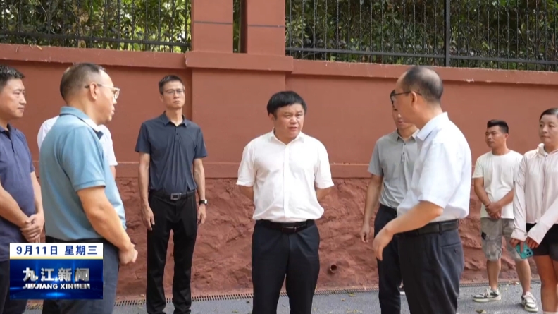 市领导在中心城区调研督导相关工作