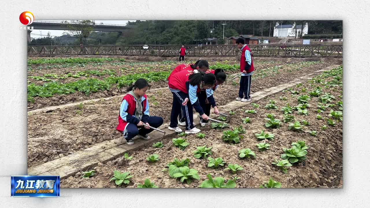 九江外国语学校庾亮校区开展劳动教育实践活动