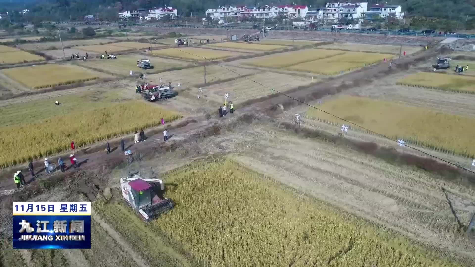 武宁县：晚稻机收大比武  减损降耗促增收