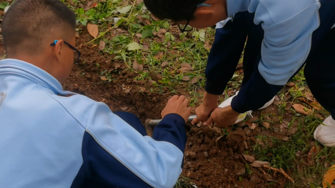 九江七中开展学生劳动教育实践活动