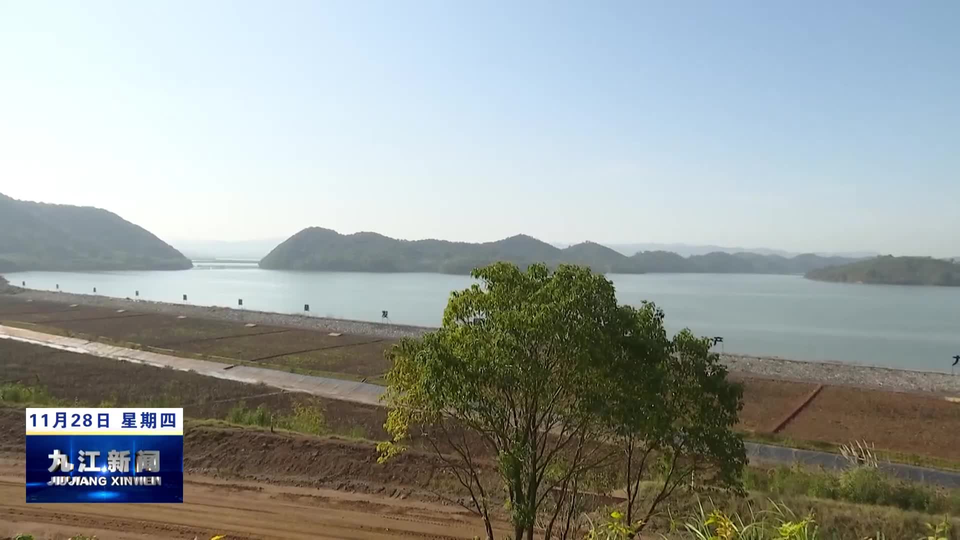 市领导调研督导矮围整治工作