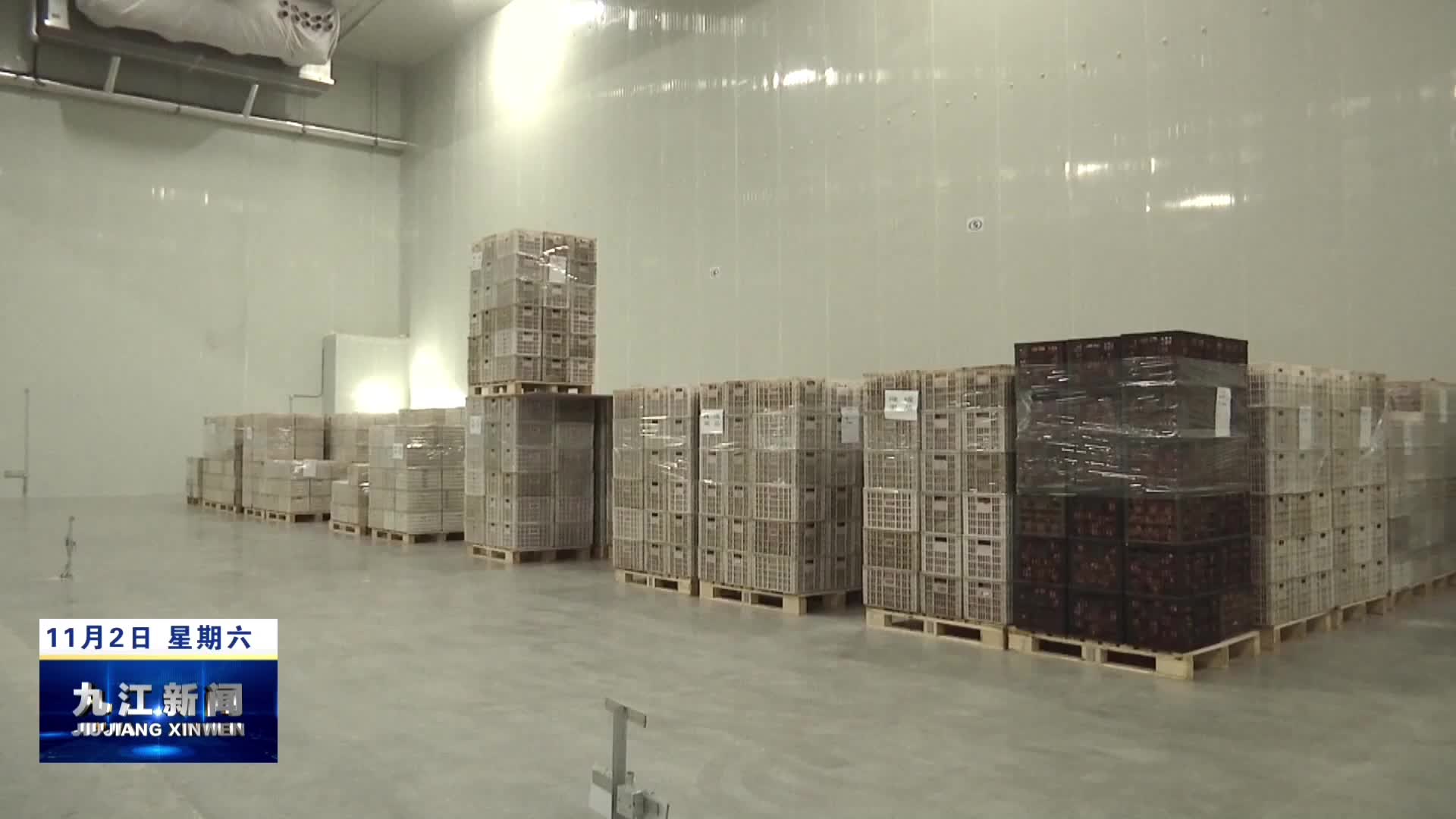 九江经开区：全力推进冷链物流园高质量运营