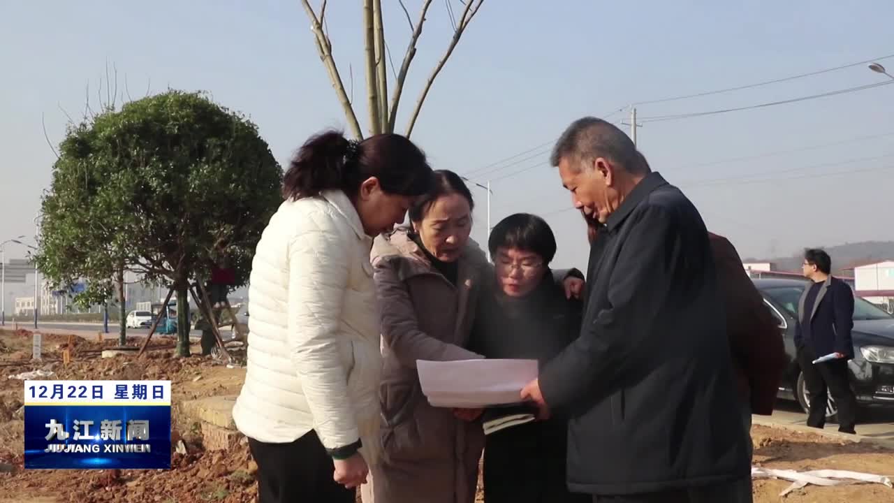 市领导在湖口调研