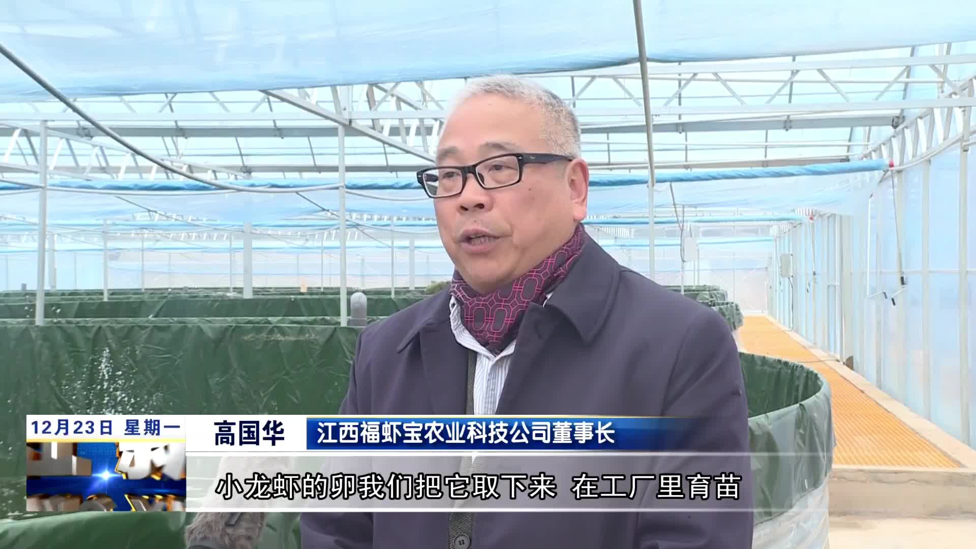 永修：科技赋能虾苗繁育 小龙虾走向全季养殖