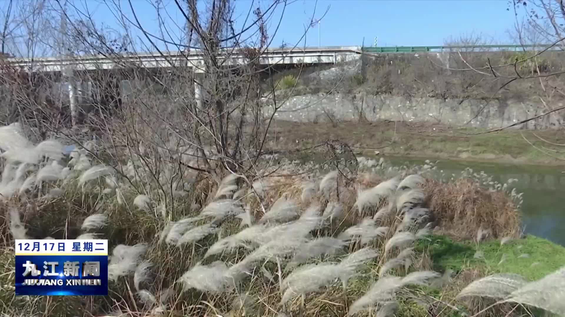 市领导调研矮围排查整治等工作