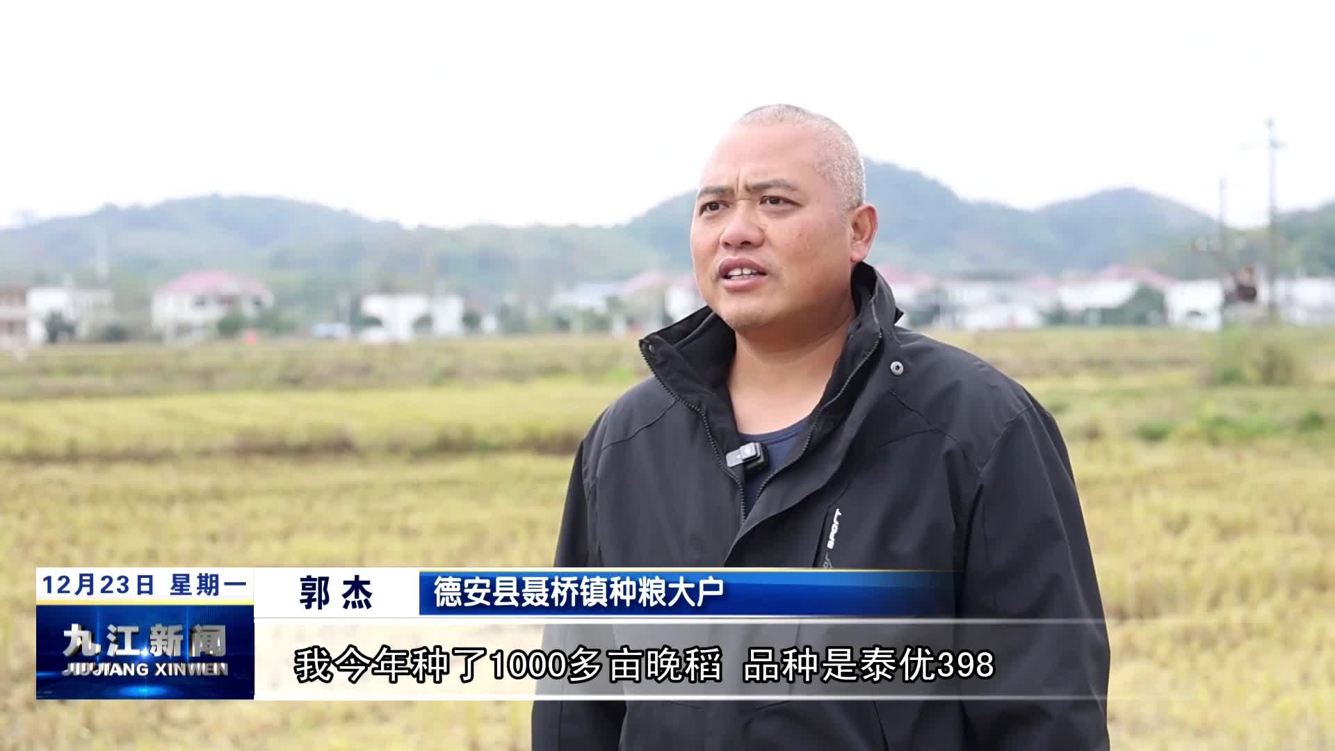 德安：“高标”出“高效”    绘好良田好“丰”景
