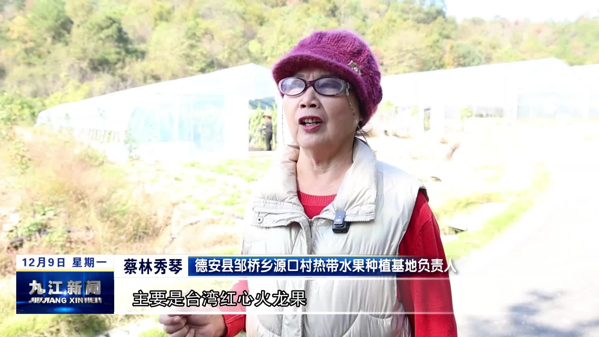 德安：火龙果变身“致富果”