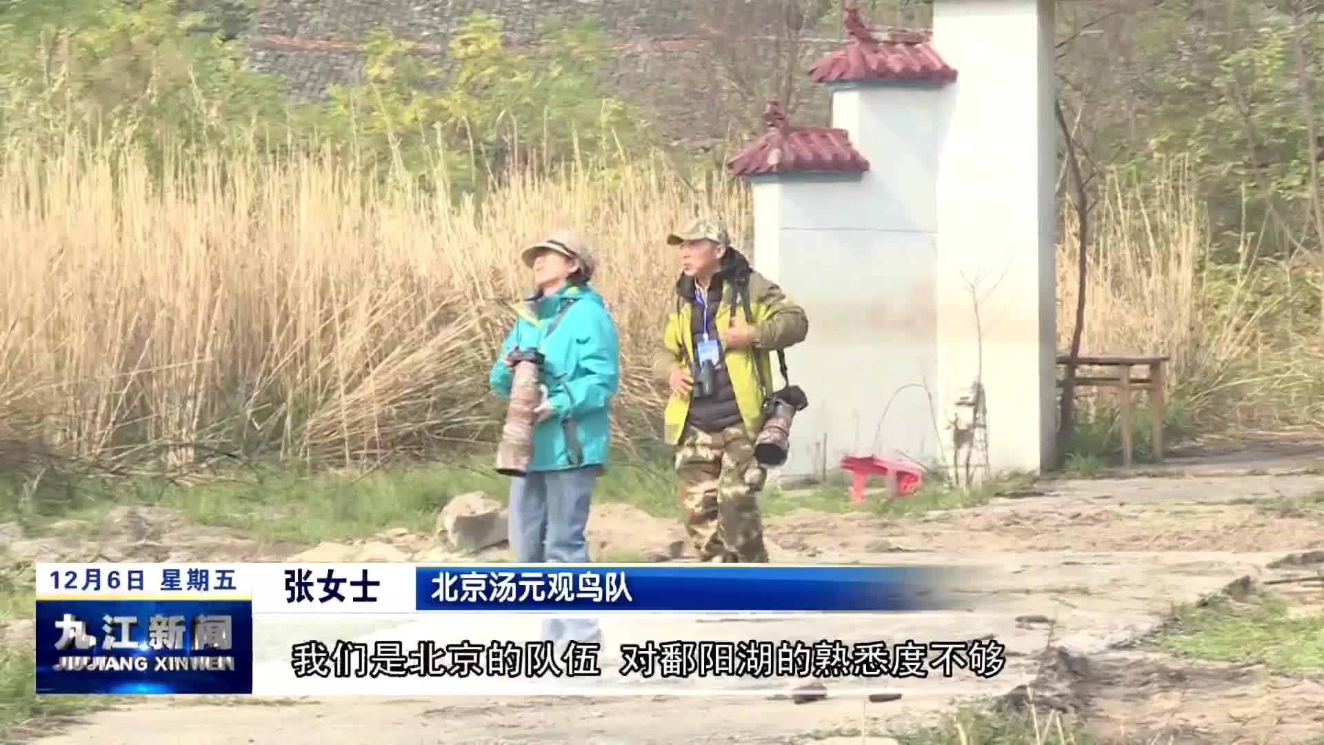 永修：鹤舞鄱湖 群雄逐“羽”