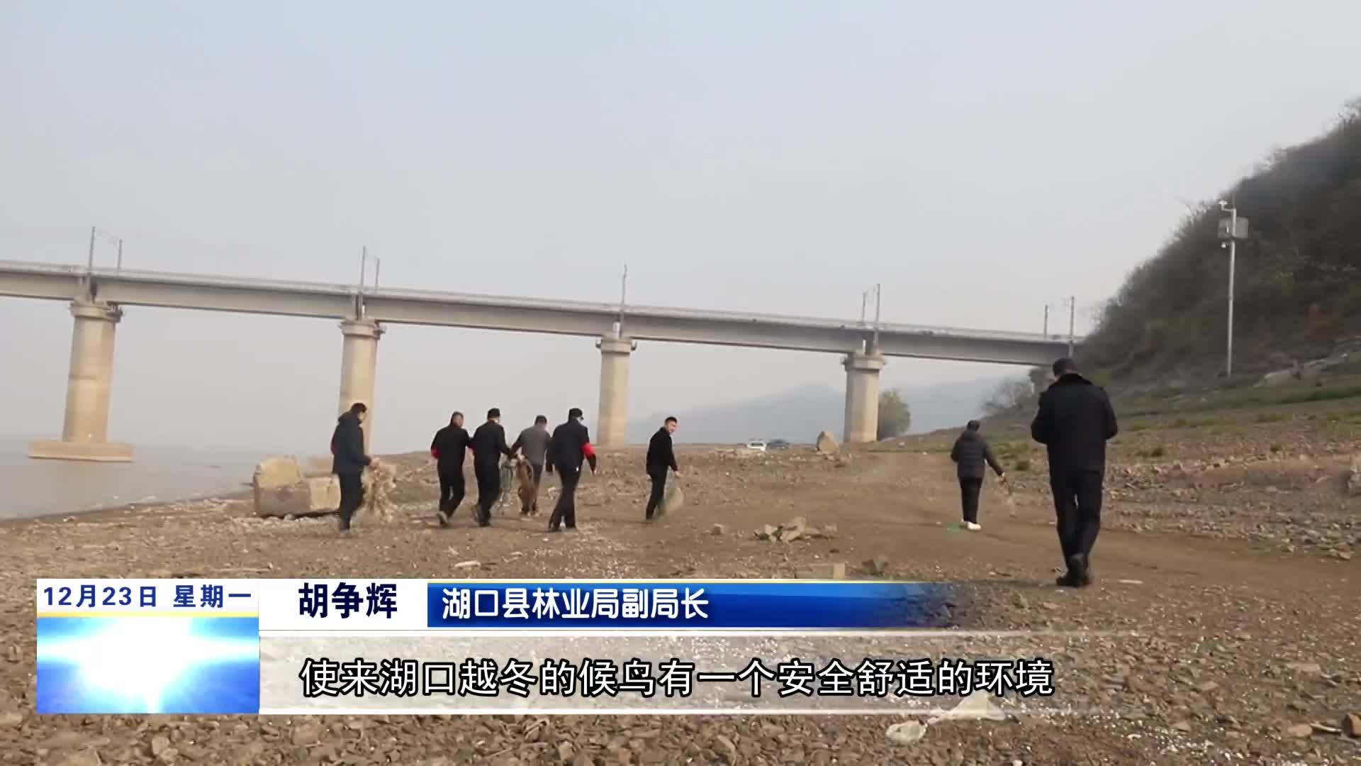 湖口：“鄱湖利剑”出鞘 守护候鸟家园