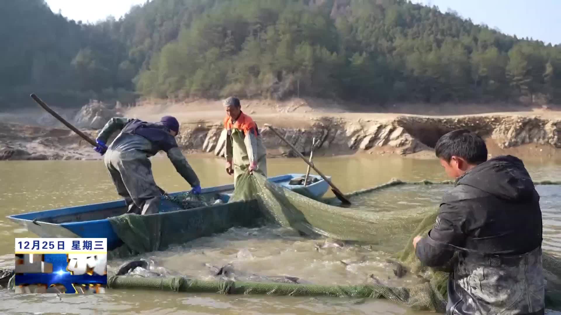 修水：年年有“鱼”促增收