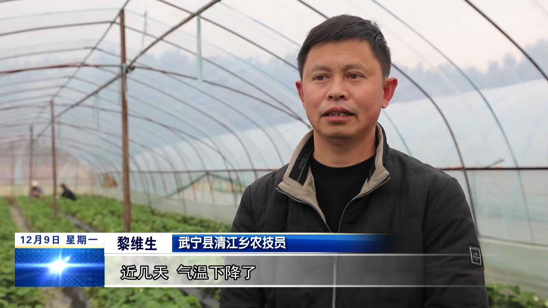 武宁：积极应对低温天气  农技人员田间指导作物管理